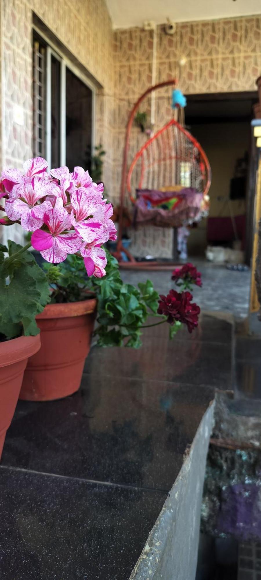 Royal Palm Homestay マディケーリ エクステリア 写真