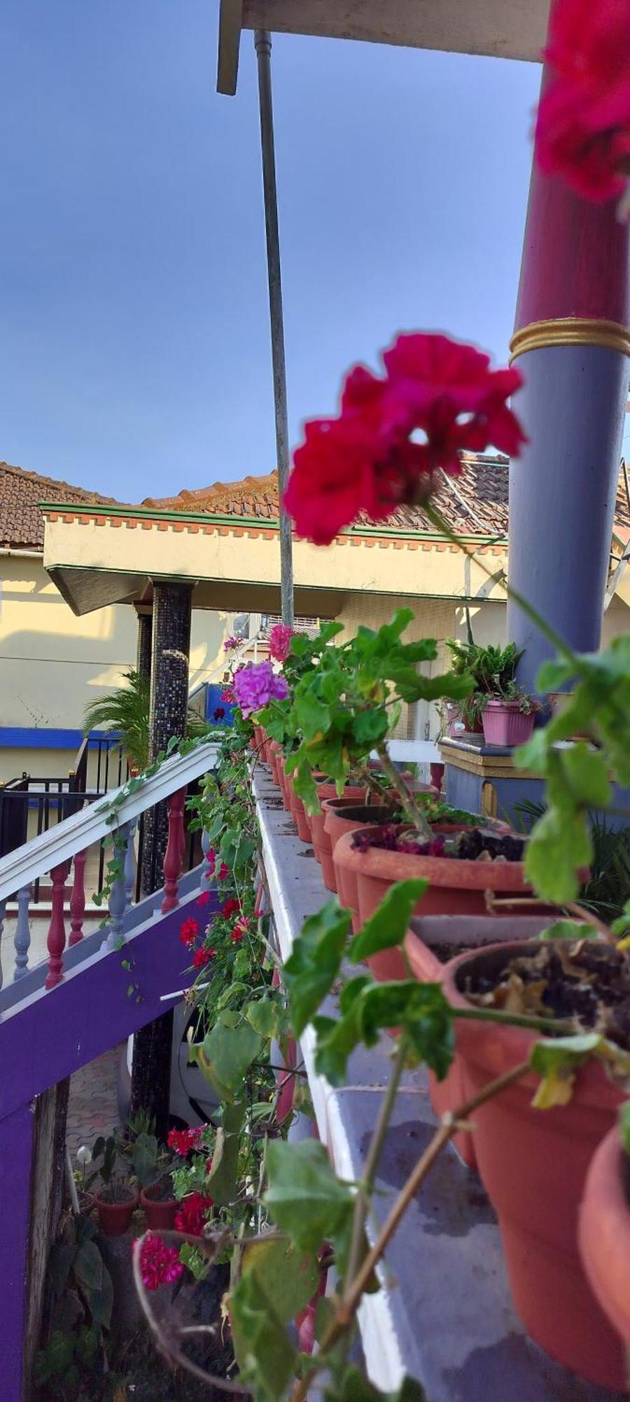 Royal Palm Homestay マディケーリ エクステリア 写真