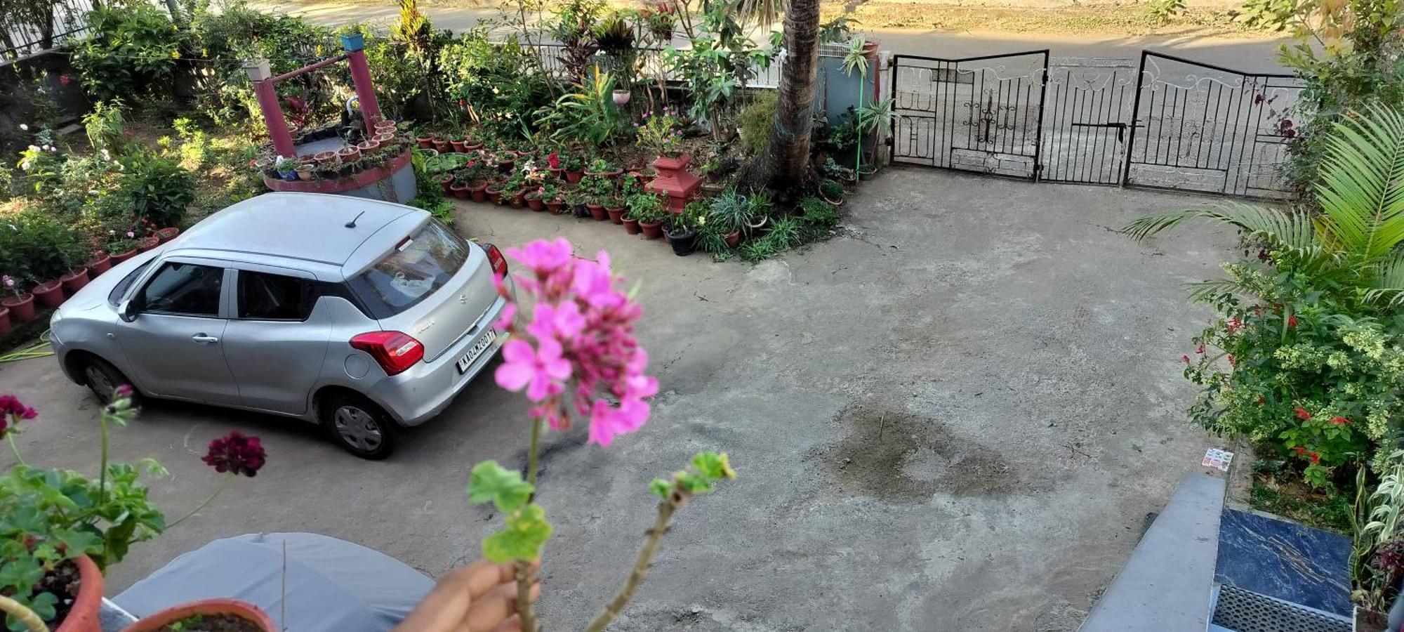 Royal Palm Homestay マディケーリ エクステリア 写真