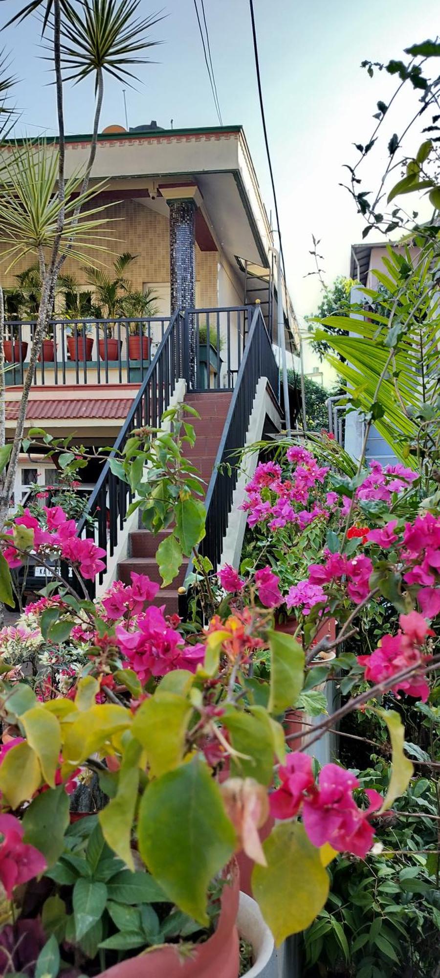 Royal Palm Homestay マディケーリ エクステリア 写真